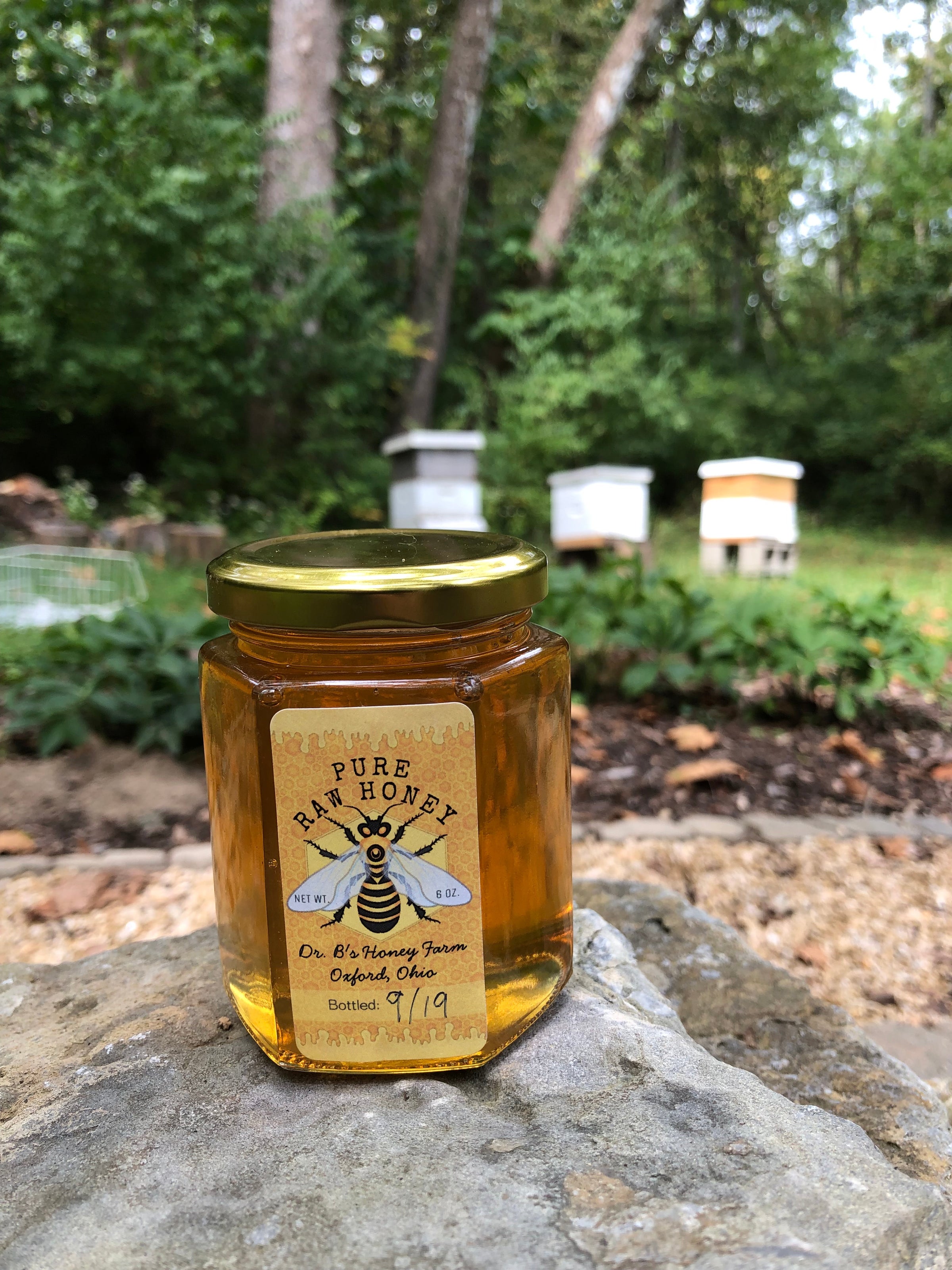 HATE HONEY「DETROIT」 Aidan Hutchinson Detroit Lions Helmet House of Hutch Tee